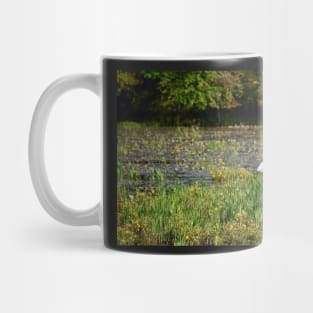 "Egret Beauty" Mug